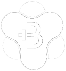 BuildMyBod logo